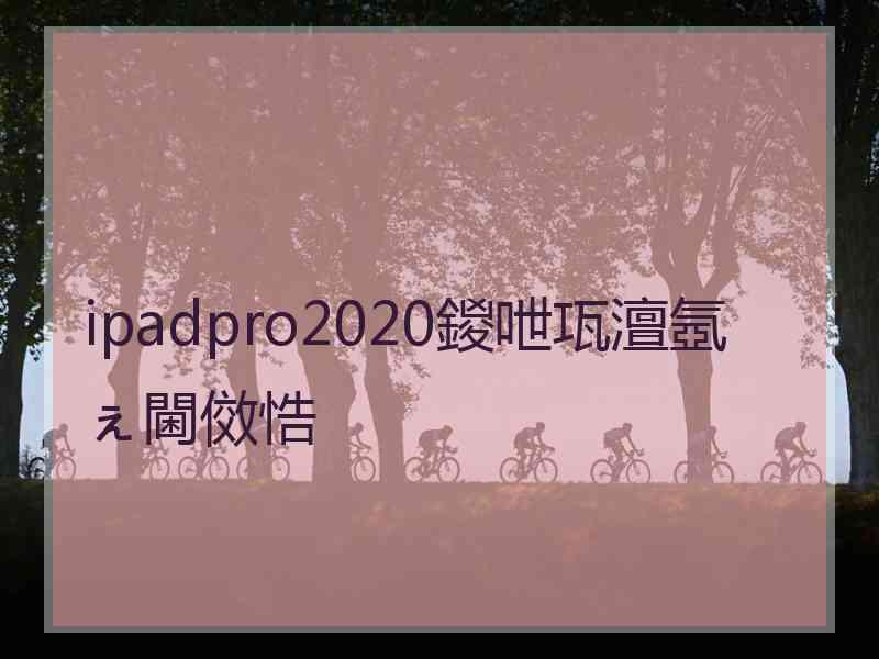 ipadpro2020鍐呭瓨澶氬ぇ閫傚悎