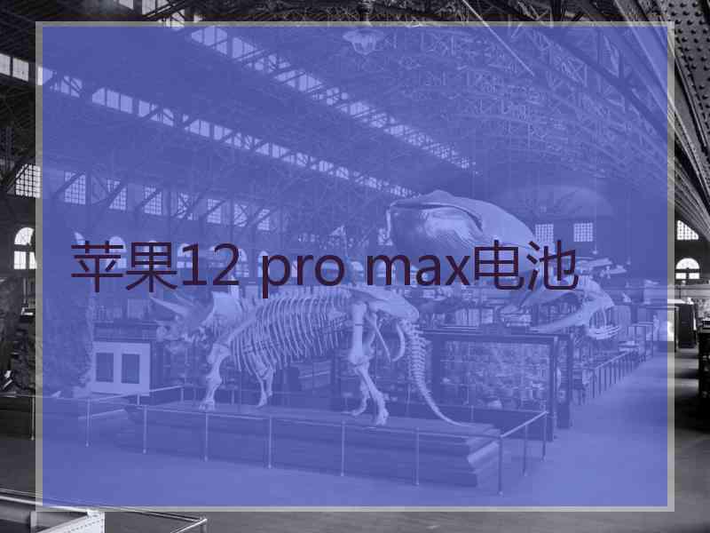 苹果12 pro max电池