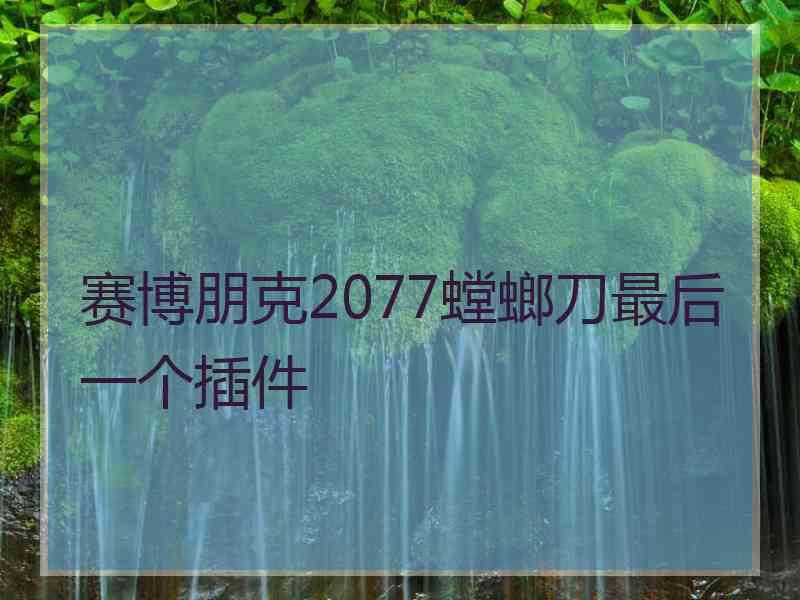 赛博朋克2077螳螂刀最后一个插件