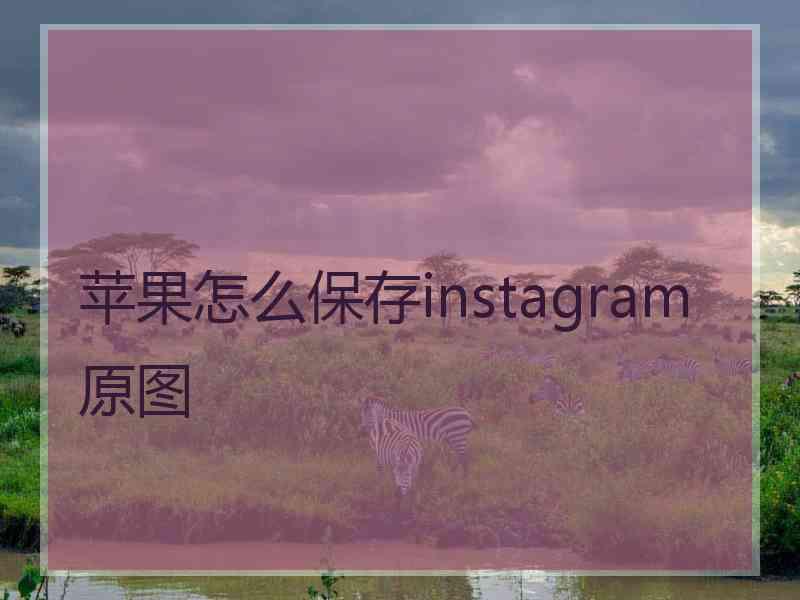 苹果怎么保存instagram原图