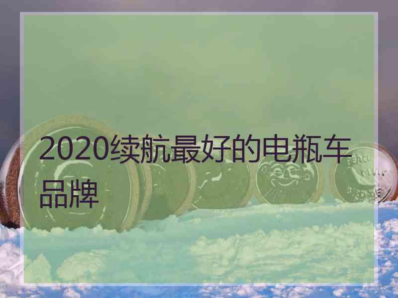 2020续航最好的电瓶车品牌