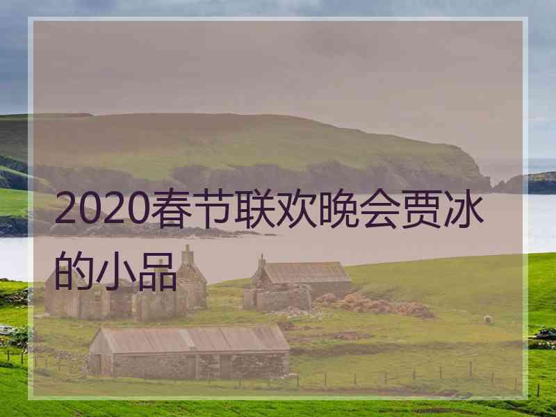 2020春节联欢晚会贾冰的小品