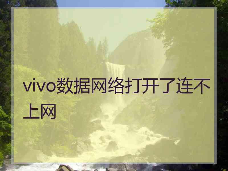 vivo数据网络打开了连不上网