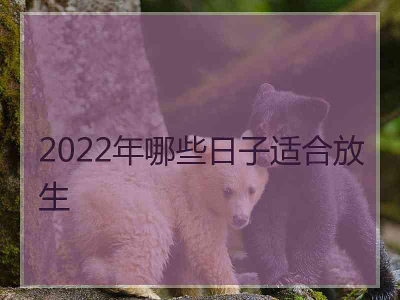 2022年哪些日子适合放生