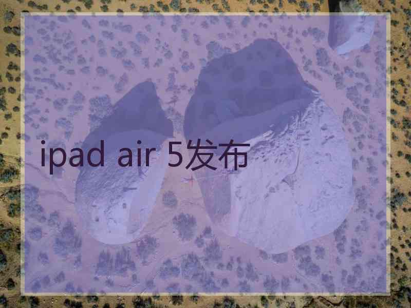 ipad air 5发布