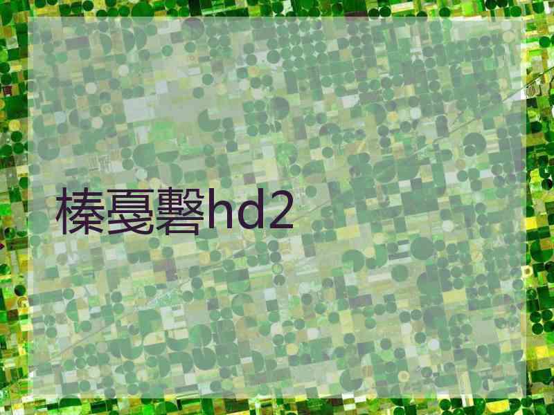 榛戞礊hd2