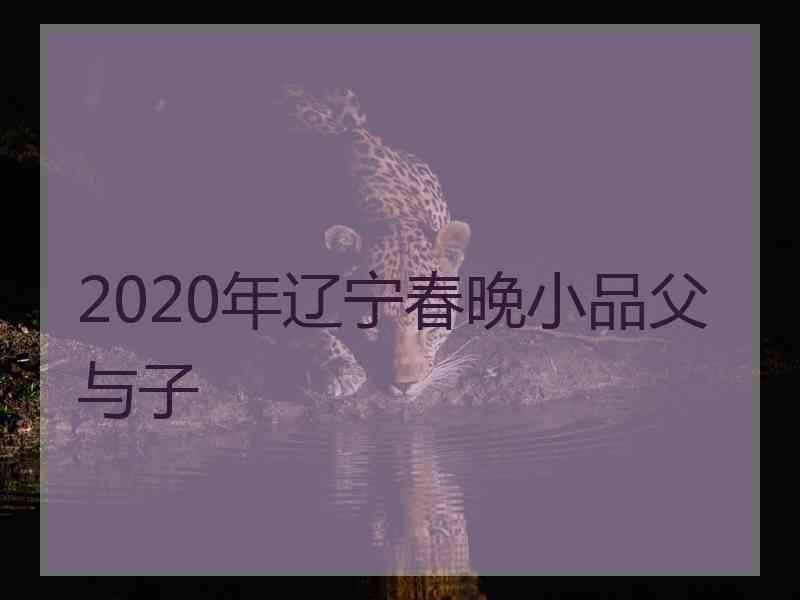 2020年辽宁春晚小品父与子