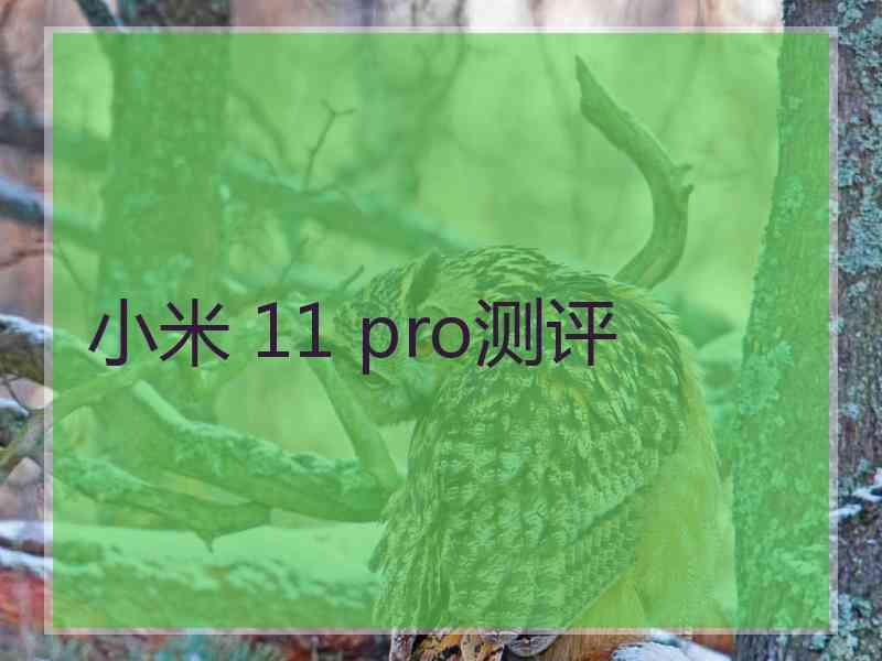 小米 11 pro测评