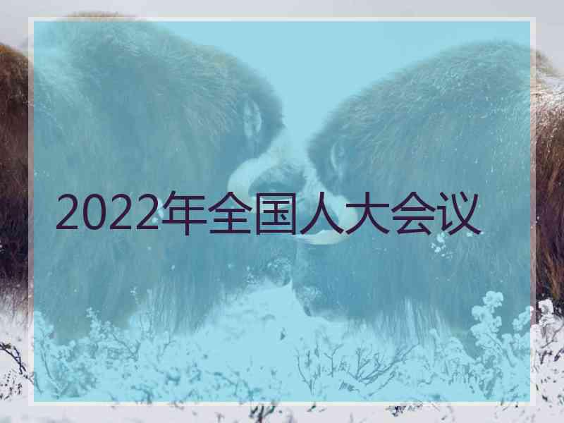 2022年全国人大会议