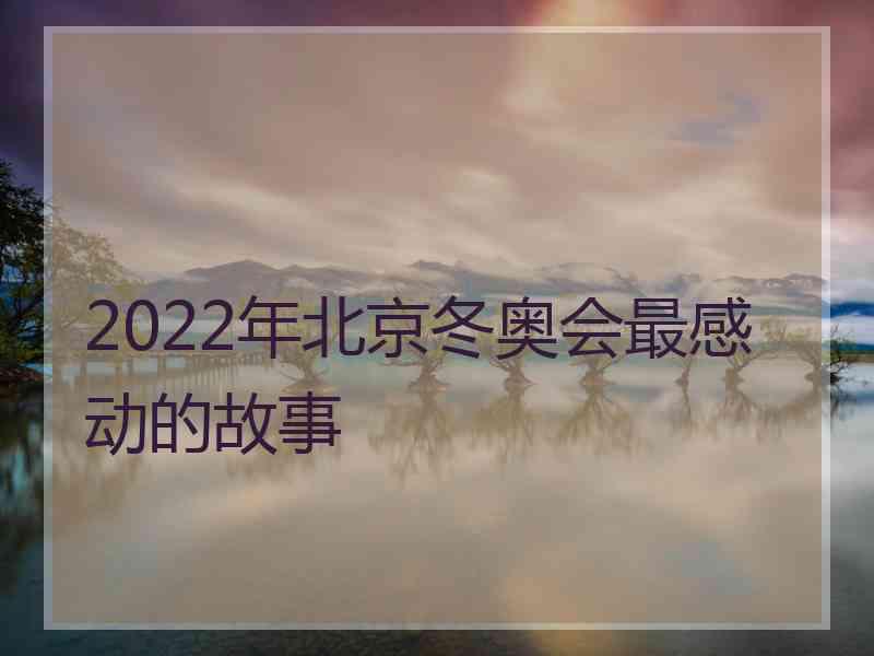 2022年北京冬奥会最感动的故事