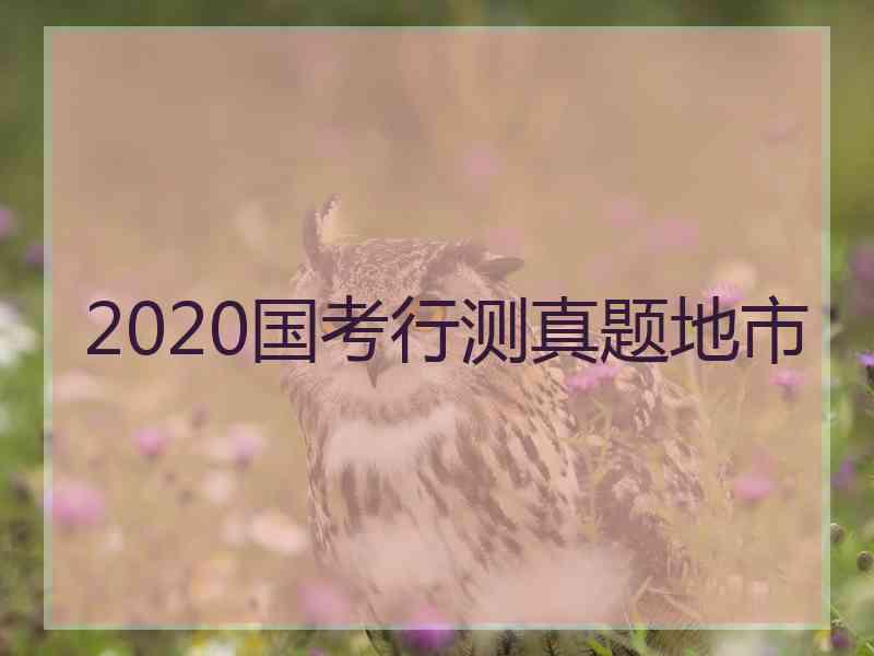 2020国考行测真题地市