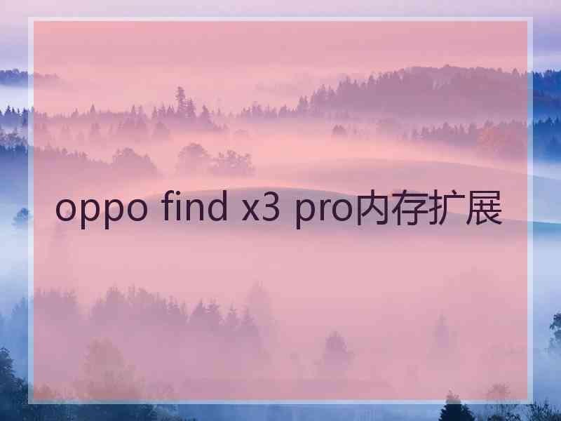 oppo find x3 pro内存扩展