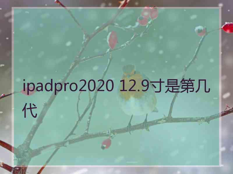 ipadpro2020 12.9寸是第几代