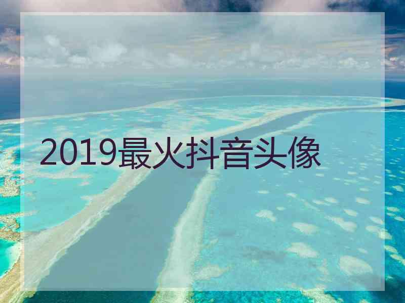 2019最火抖音头像