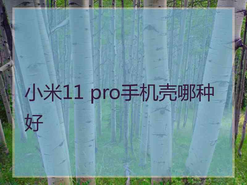 小米11 pro手机壳哪种好