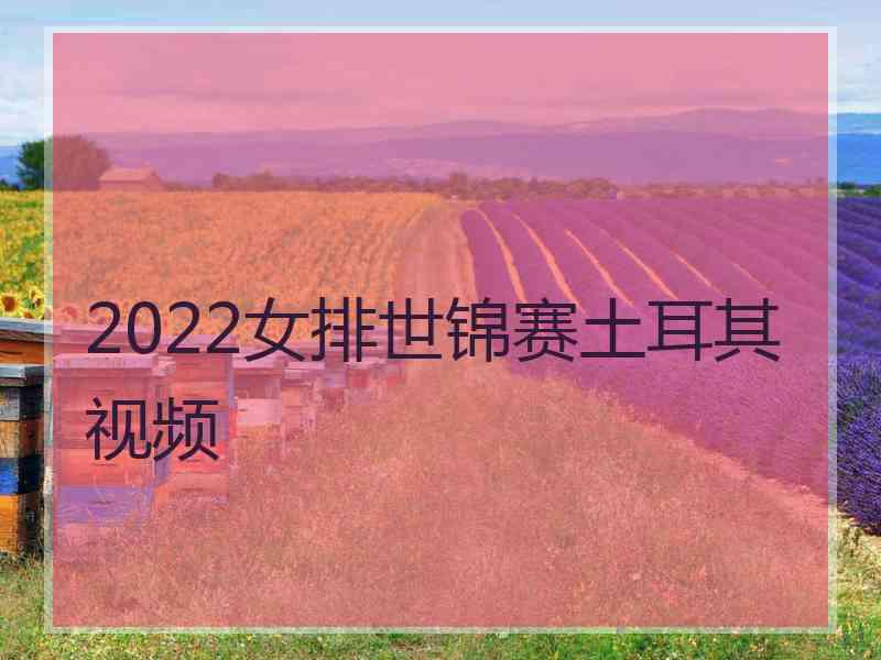 2022女排世锦赛土耳其视频