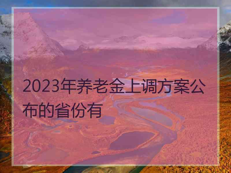 2023年养老金上调方案公布的省份有