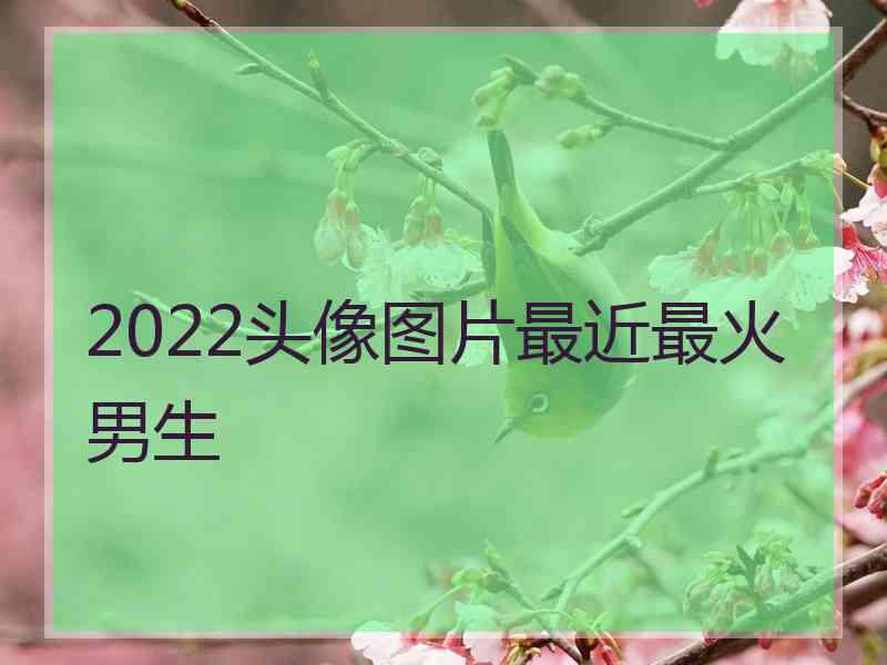 2022头像图片最近最火男生