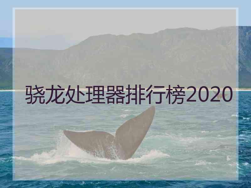 骁龙处理器排行榜2020