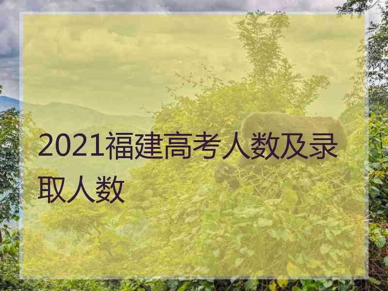 2021福建高考人数及录取人数