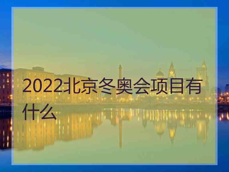 2022北京冬奥会项目有什么