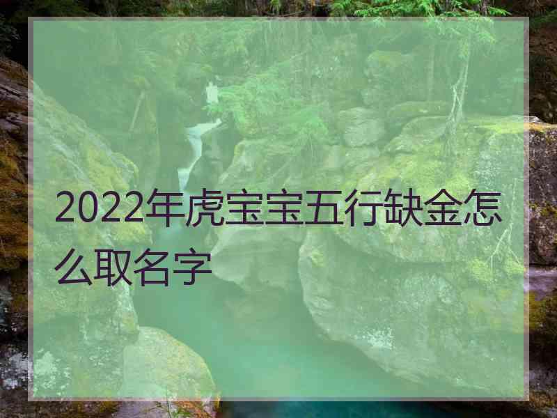 2022年虎宝宝五行缺金怎么取名字