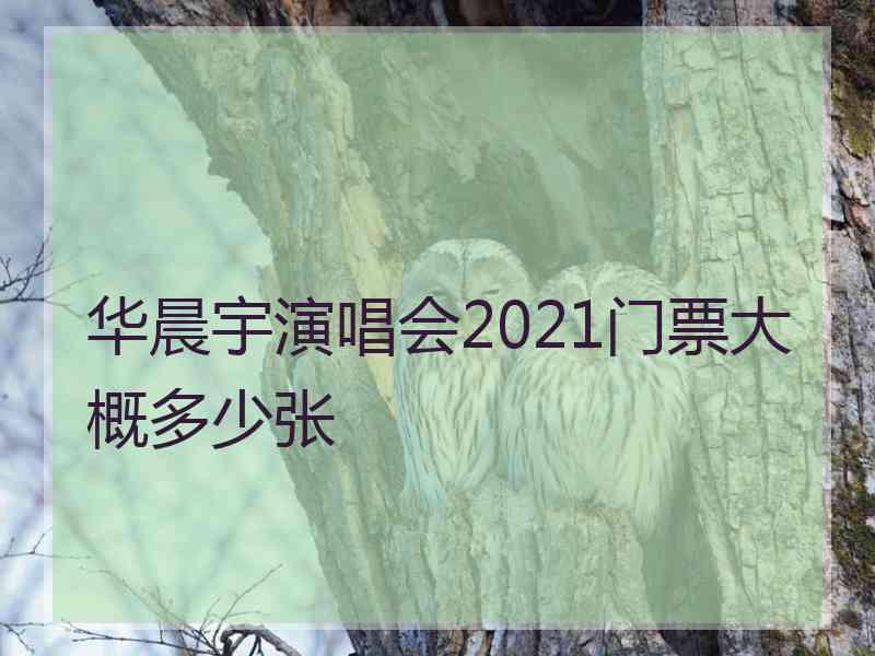 华晨宇演唱会2021门票大概多少张