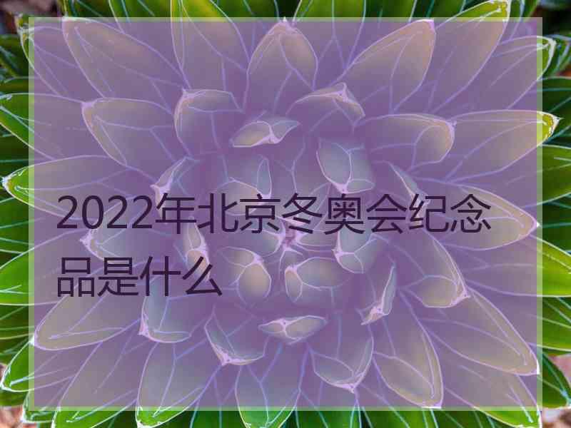 2022年北京冬奥会纪念品是什么