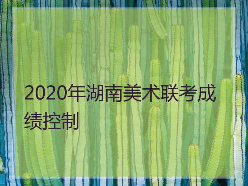 2020年湖南美术联考成绩控制