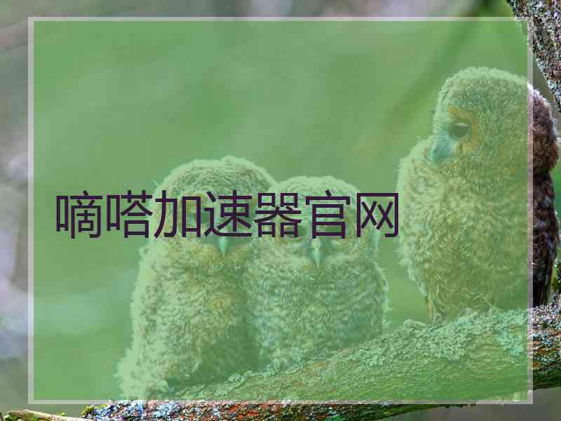 嘀嗒加速器官网