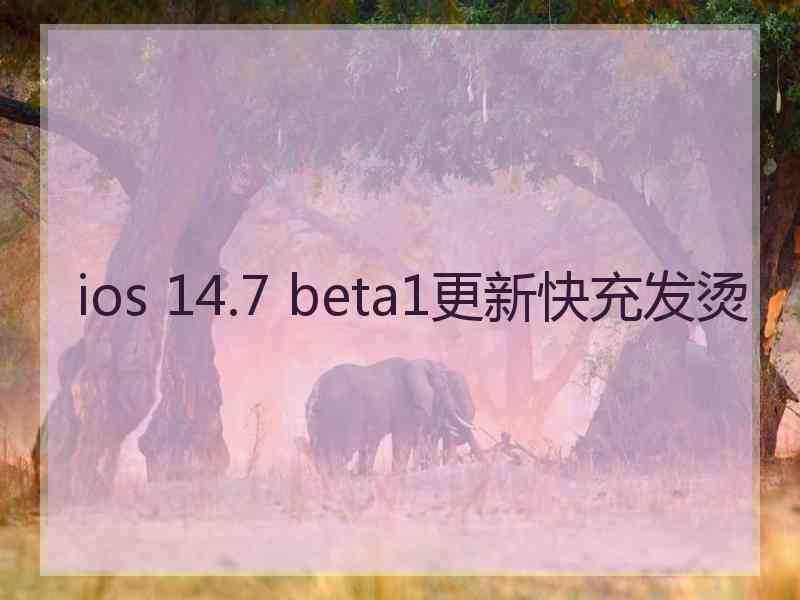 ios 14.7 beta1更新快充发烫