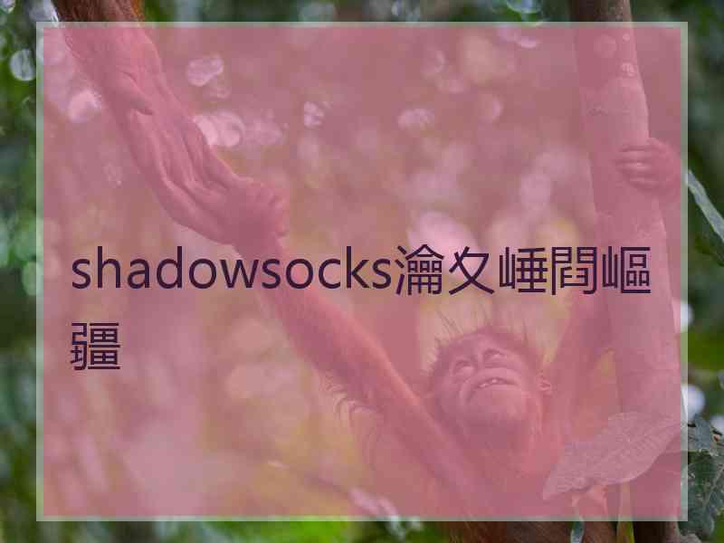 shadowsocks瀹夊崜閰嶇疆