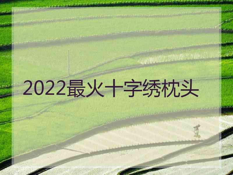 2022最火十字绣枕头