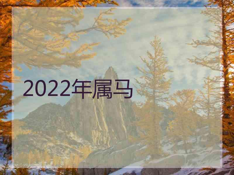 2022年属马