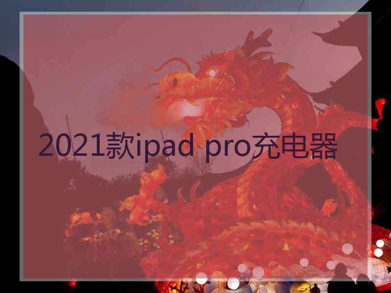 2021款ipad pro充电器