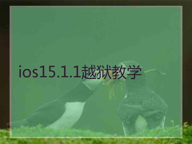 ios15.1.1越狱教学