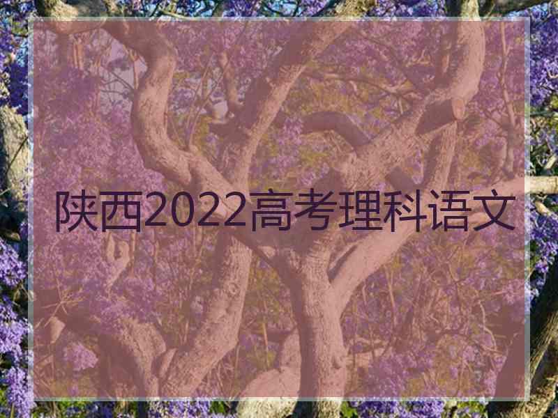 陕西2022高考理科语文