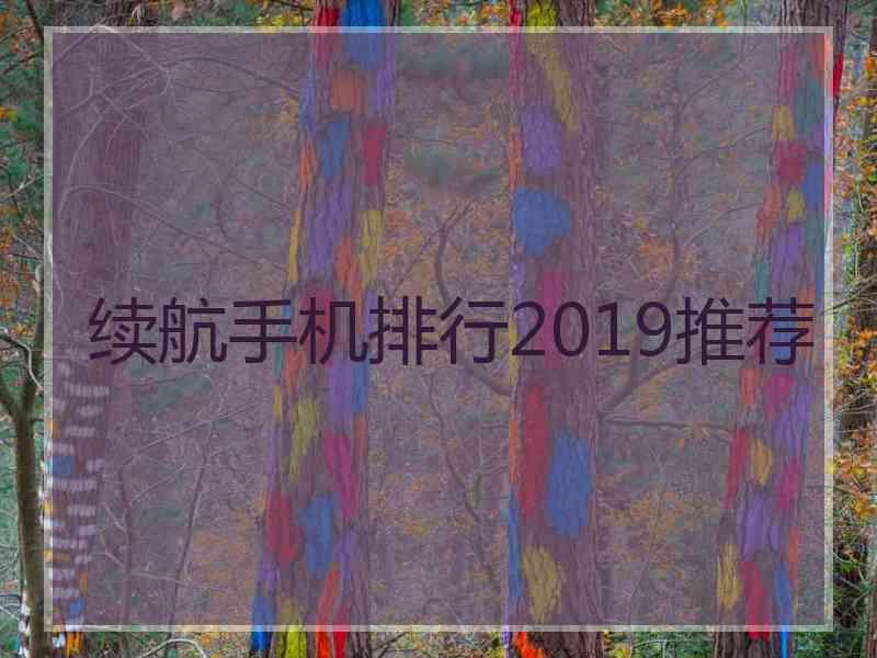 续航手机排行2019推荐