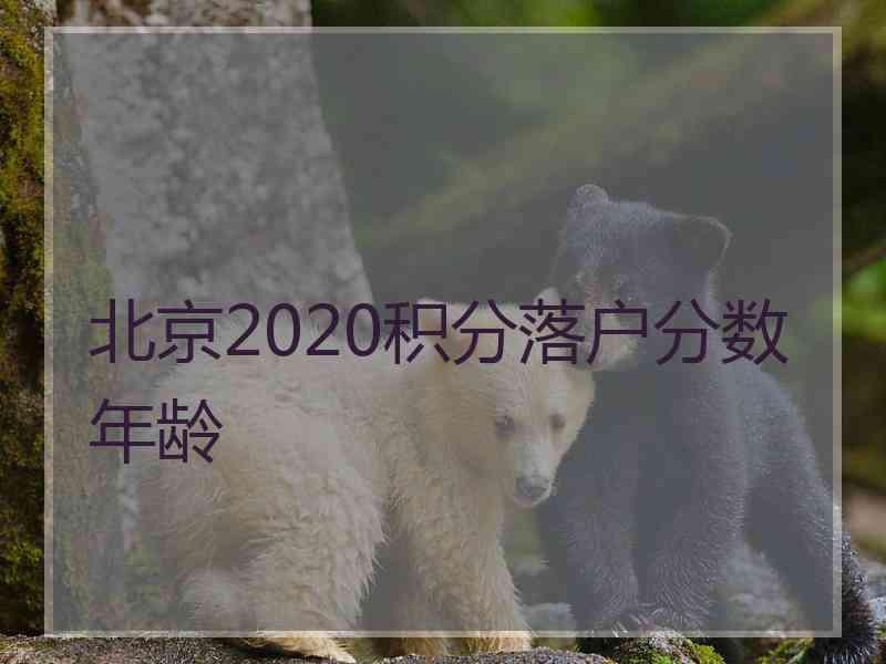 北京2020积分落户分数年龄