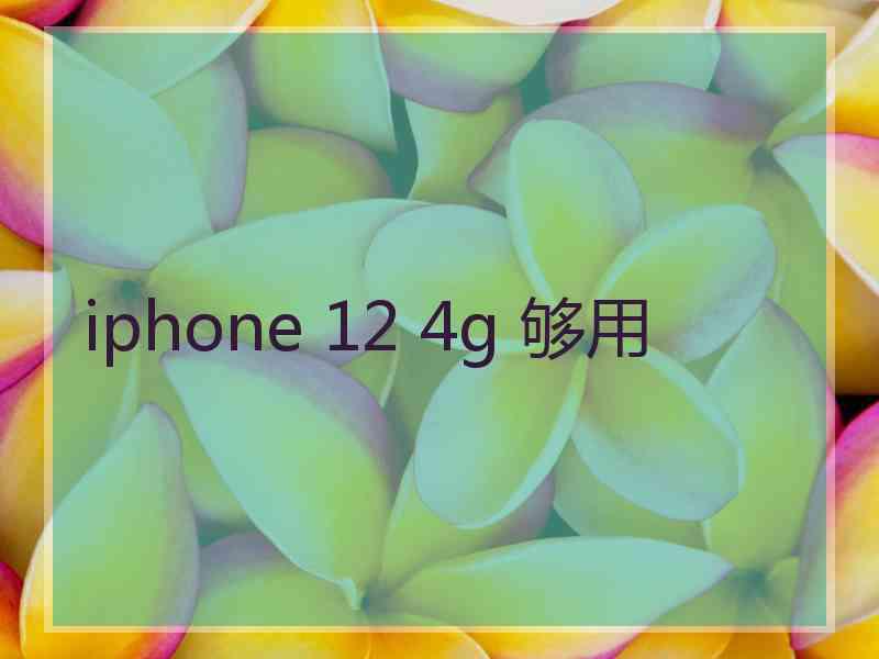 iphone 12 4g 够用