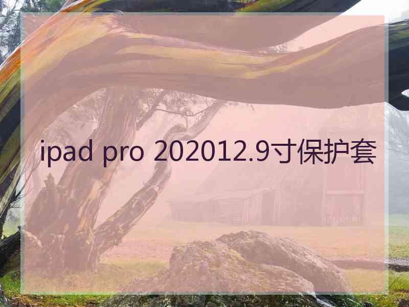 ipad pro 202012.9寸保护套