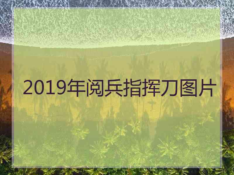 2019年阅兵指挥刀图片