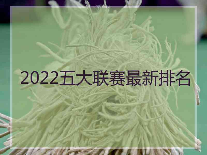 2022五大联赛最新排名