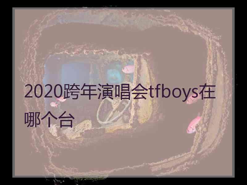 2020跨年演唱会tfboys在哪个台