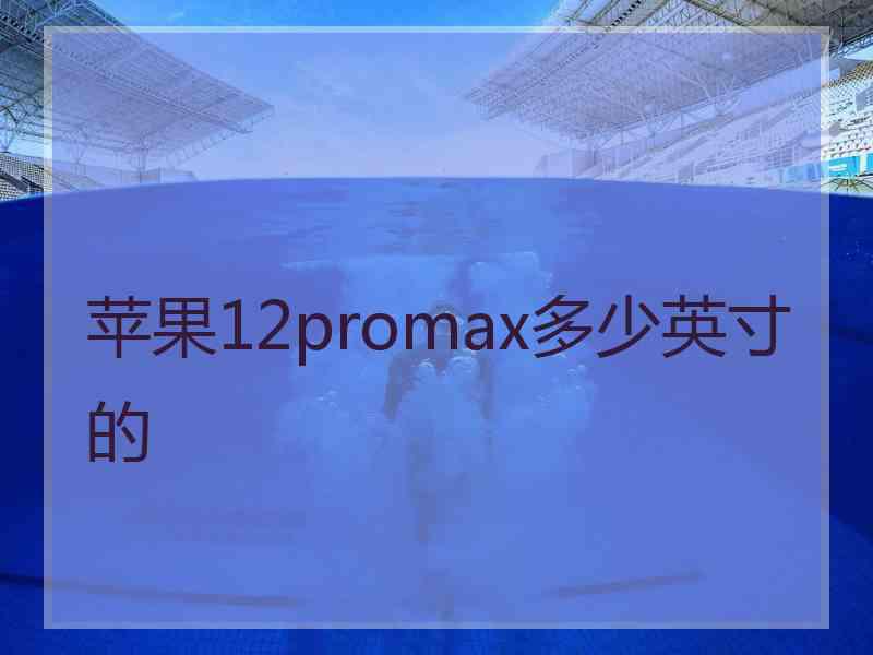 苹果12promax多少英寸的