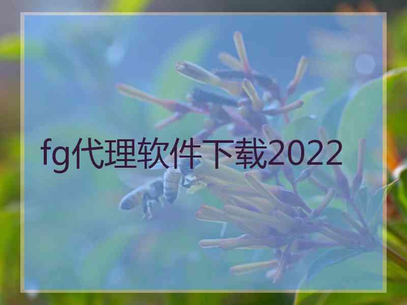 fg代理软件下载2022