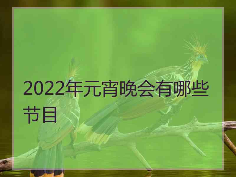 2022年元宵晚会有哪些节目