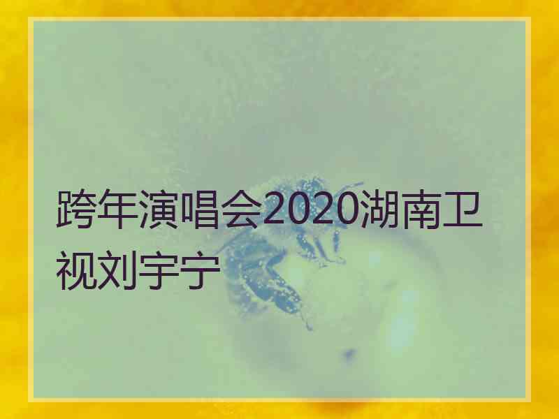 跨年演唱会2020湖南卫视刘宇宁