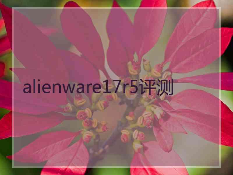 alienware17r5评测