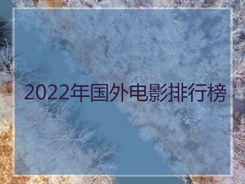 2022年国外电影排行榜